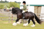 SBM_06167