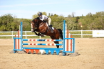 SBM_003333