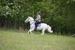 WJ6_1421