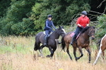 WJ6_1768