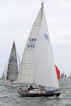 190803 SHEEVRA GBR2421 1Y3A7094