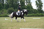 WJ6_6631