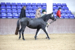 SBM_5413