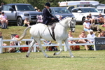 3E7A9752