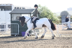 SBM_08578
