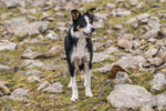 Ennerdale-763