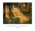 Fair Oak Pool
