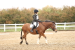 SBM_001960