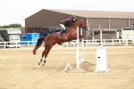 SBM_006619