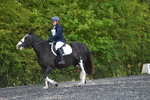 WJ5_9016