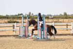 SBM_000225