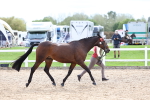 SBM_03974