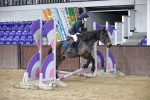 SBM_000353