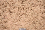 230813A-145222-13448