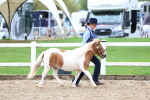 SBM_00233