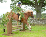 Dunblane show-165