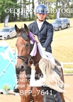 BPP_7641