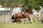 SBM_06964