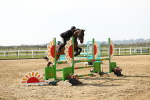 SBM_002310