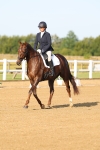 SBM_010491