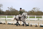 SBM_007553
