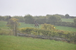 WJ5_7349