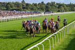 240824-Race 7-Sir Busker-1960