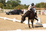 SBM_003911