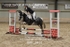 BPP_5431