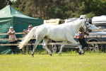 SBM_02487