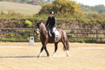 SBM_009262