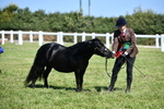 DSC_6672