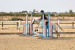 SBM_000218