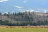 The Grand Teton Elk Migration