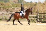 SBM_011169