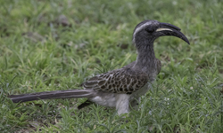 Namibia 2022 portfolio