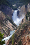 Lower Falls-Yellowstone
