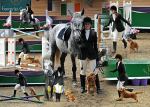 montage N CAPPER