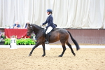 SBM_020509