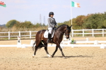 SBM_015011