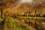 Grand Canal Reflections