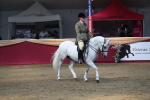 SBM_02935