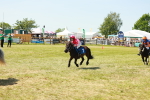SBM_17214