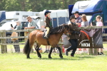 SBM_05306