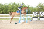SBM_004223