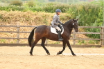 SBM_000929