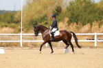 SBM_018380
