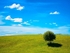 Bentha Hill 01 C