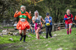Dovedale Dash-2032