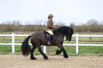 SBM_006923
